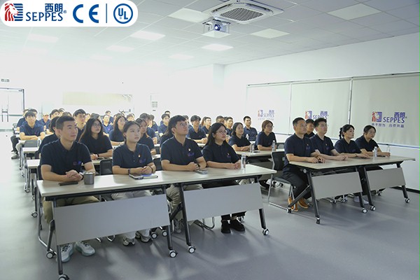 西朗門業董事長楊元嘉帶領全體員工觀看閱兵儀式