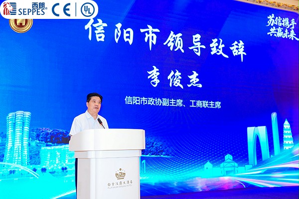 李俊杰副主席發言